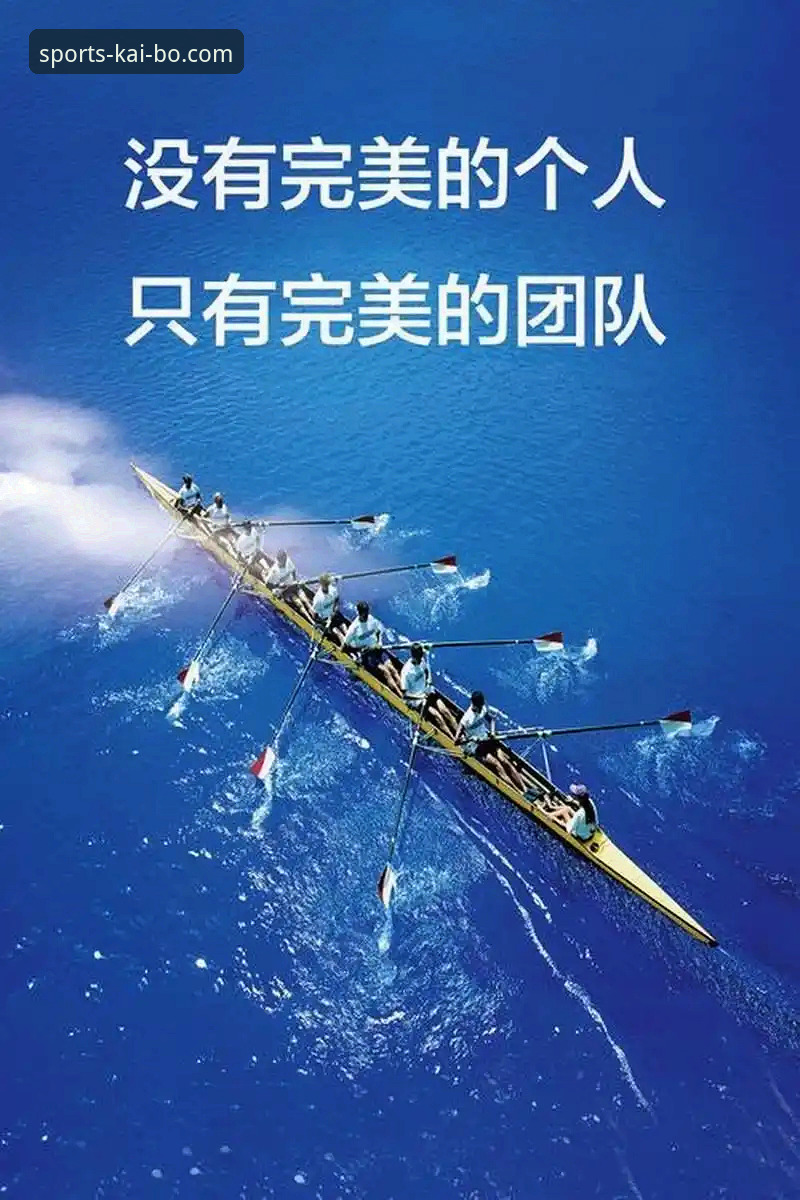 开博体育平台下载安装全流程深度解析：从注册到实战的完整指南